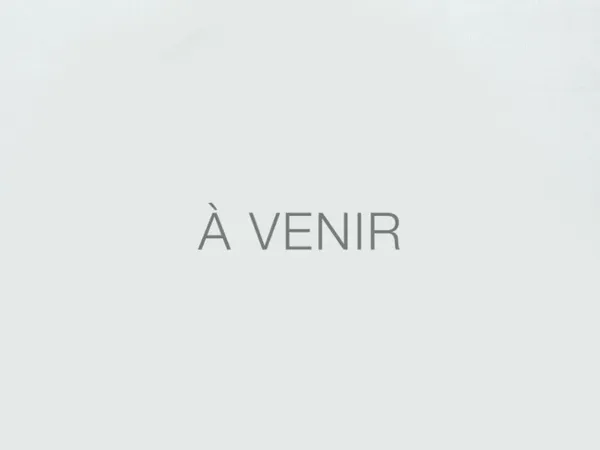 Appartement Vente Choisy-le-Roi 2p 29m² 149000€