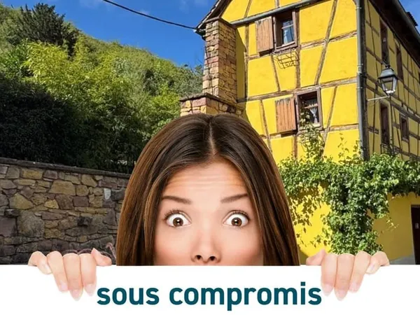 Turckheim - Maison rénovée avec magnifique jardin