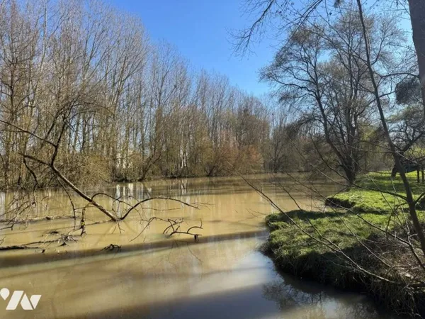 Terrain 1560 m²