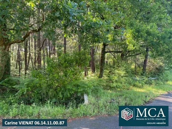 Terrain 650 m²