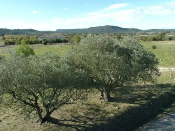 Terrain 500 m²