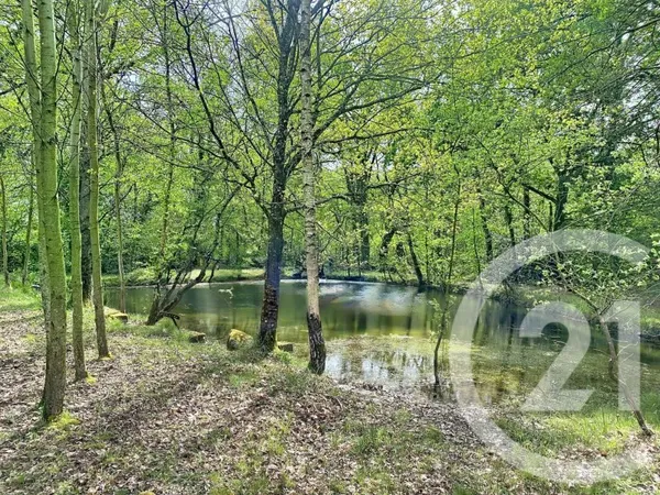Terrain 5350 m²