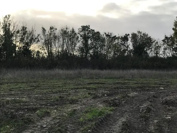 Nouveau terrain à vendre