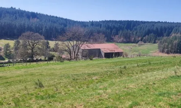 EXCLUSIVITE RIOTORD 43220 côté MARLHES 42660 parcelle de terrain de 1990m² dont 1715m² constructible