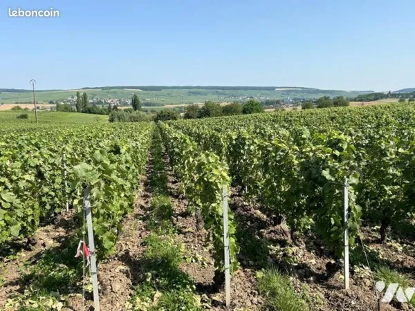 Terrain 820 m² BELVAL SOUS CHATILLON