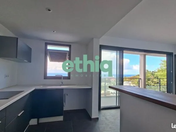 Appartement 3 pièces 79 m²