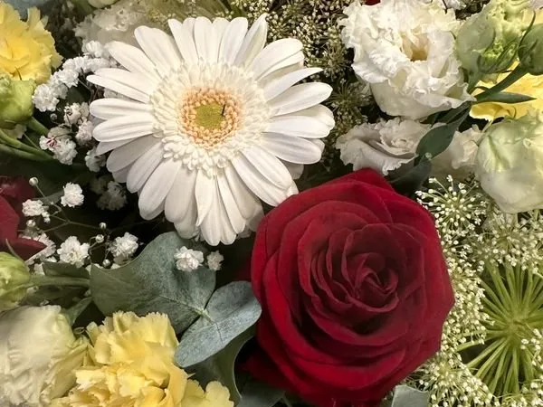 Fond de commerce fleuriste
