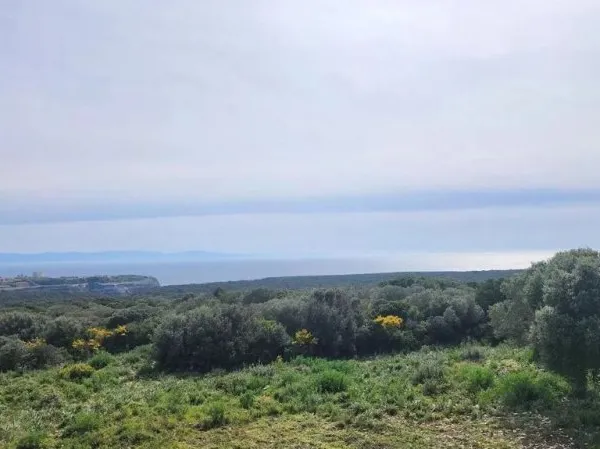 Villa 7 pièces 216 m²