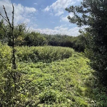 Terrain constructible 753 m²