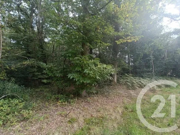 Terrain à bâtir Vente Grayan-et-l'Hôpital  6000m² 151900€