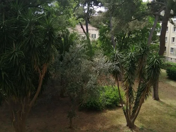 Bel appartement T4 75 m2 traversant