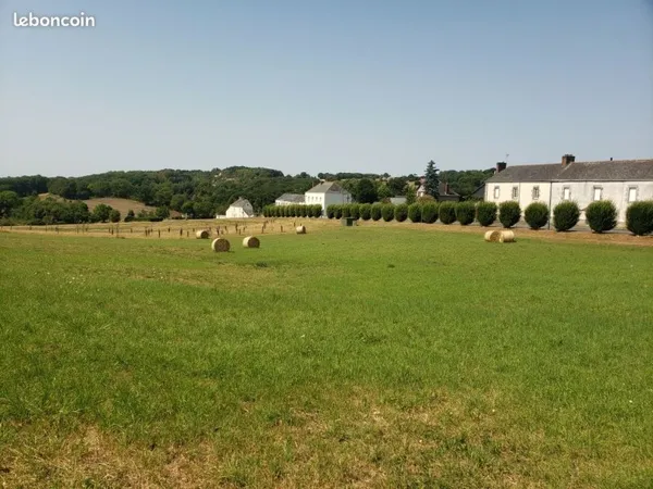 Terrain constructible