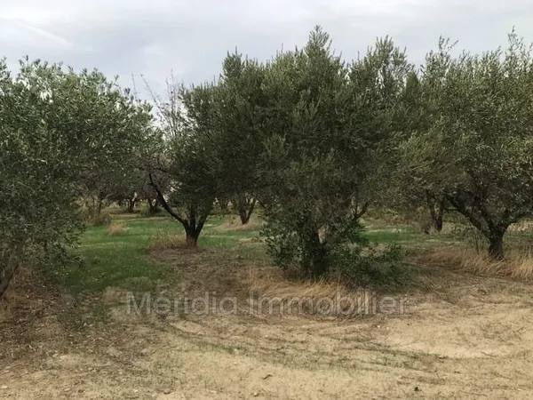 Vente terrain à bâtir