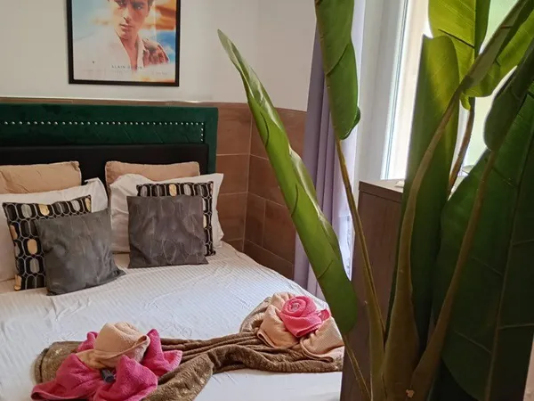 3 studios + 1 bureau - Cannes Stanislas - ideal investisseur