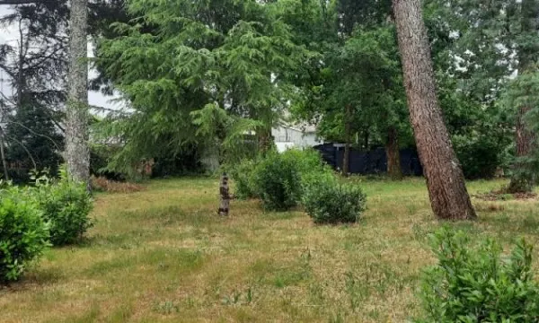 Terrain 1100 m²