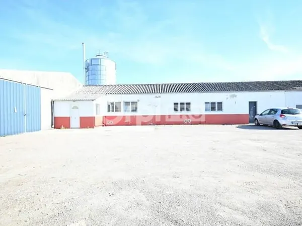 Local d'activité 212 m²