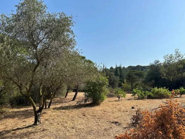 Terrain à bâtir 740 m²