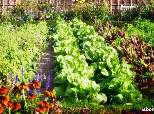 Loue jardins potagers bio en pleine nature
