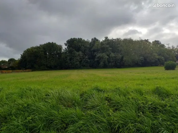 Terrain 2 900 m² Faleyras
