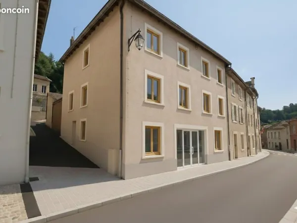 Location local commercial 115 m² (divisible 82m²+33m²)- Isère - Roybon (38940)