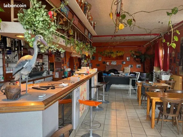 Café 200 m² Plessé