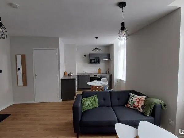 A louer appartement standing- meuble 40 m2 -centre ville rodez