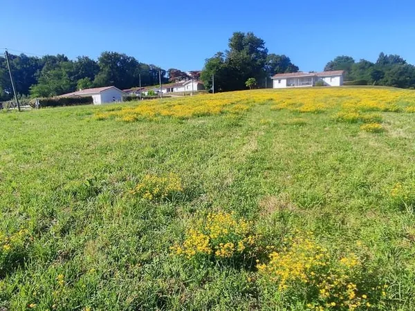 Terrain 973 m²
