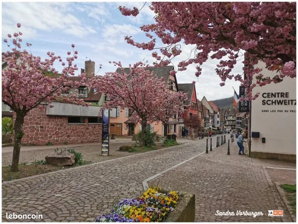 Kaysersberg centre-ville : au calme d'une petite rue