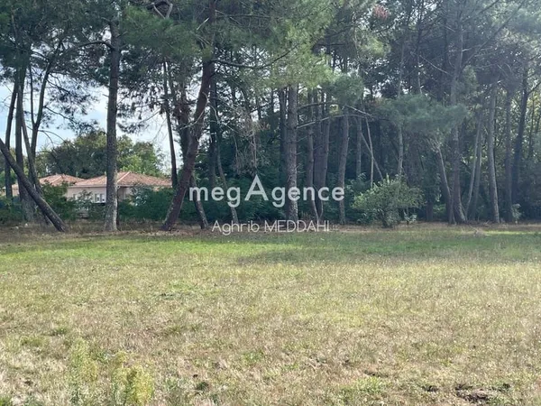 Terrain constructible Viabilisé de 555 m² à SAINT-AUBIN-DE-MEDOC