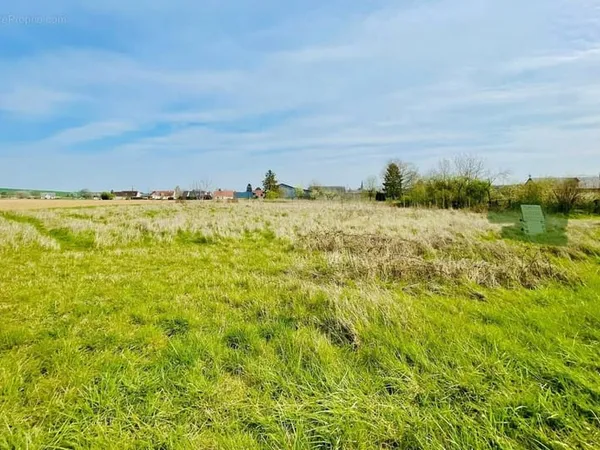 Terrain 1391 m²