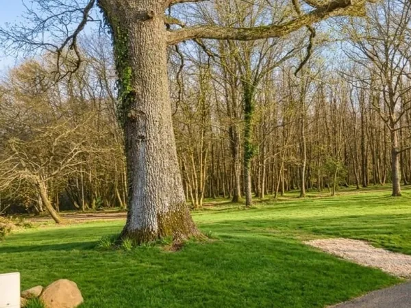 Terrain 9500 m²