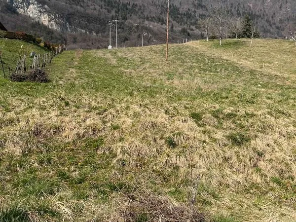 Terrain constructible