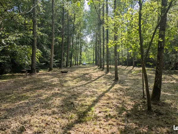 Superbe terrain de loisirs boisé avec ruisseau - 4400 m² - Val Couesnon