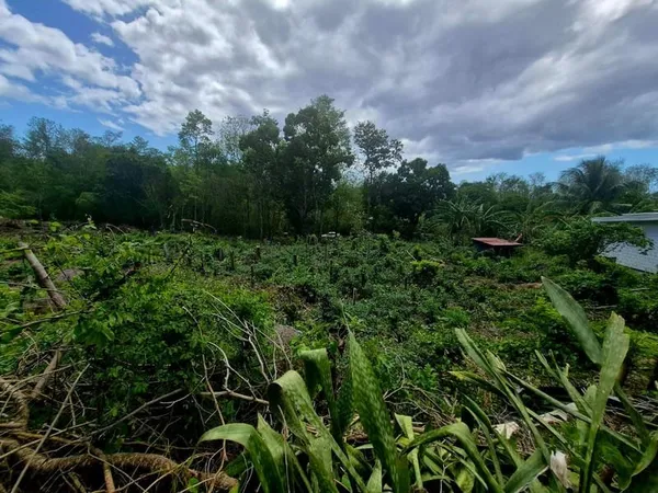 TERRAIN A VENDRE POINTE NOIRE SECTION MORHPY