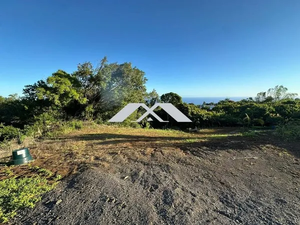 Terrain constructible à Saint-Joseph (quartier des Lianes)