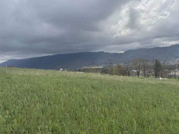 Terrain 901 m²