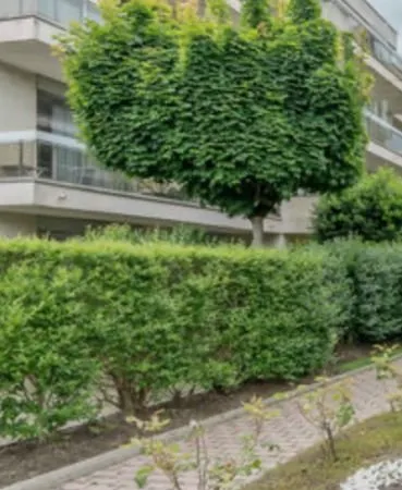 APPARTEMENT 2 PIECES 47.59m2