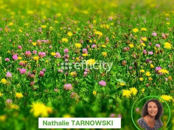 Terrain constructible 319 m²