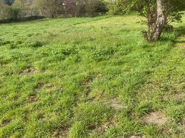 Terrain à vendre