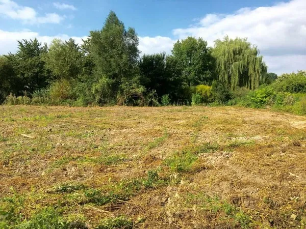 Terrain constructible