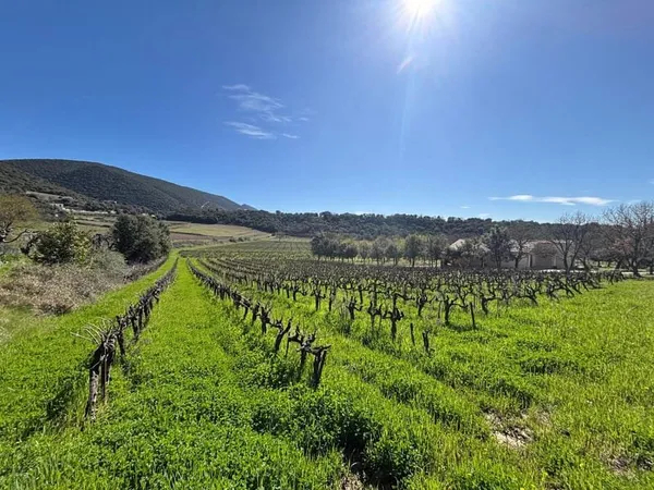 PROCHE DE GRIGNAN - TERRAIN A BÂTIR de 3500m2.