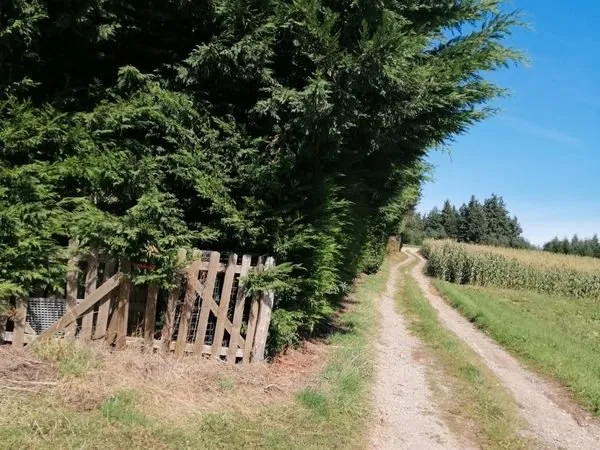 Terrain de loisirs