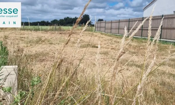 Terrain L Aiguillon Sur Vie 575 m2 Lot N°13