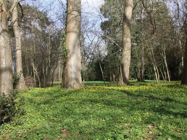 Terrain à vendre de 8 124,00 m² BERGERAC (24)