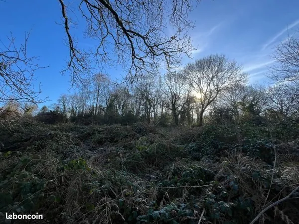 Terrain 1 397 m² Treffrin