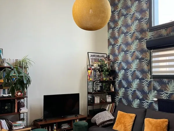 Location appartement