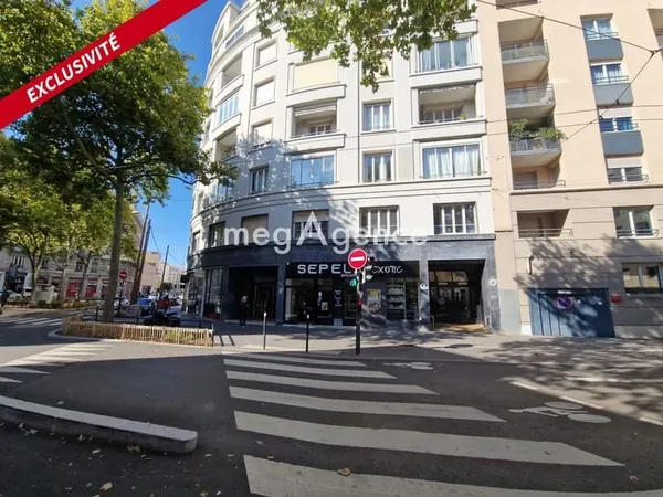 Grand T4 lumineux avec balcon Lyon 07