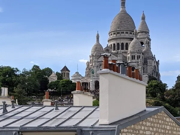 Vends appartement lumineux, calme et iconique