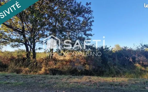 Terrain 80660 m² BIGANOS