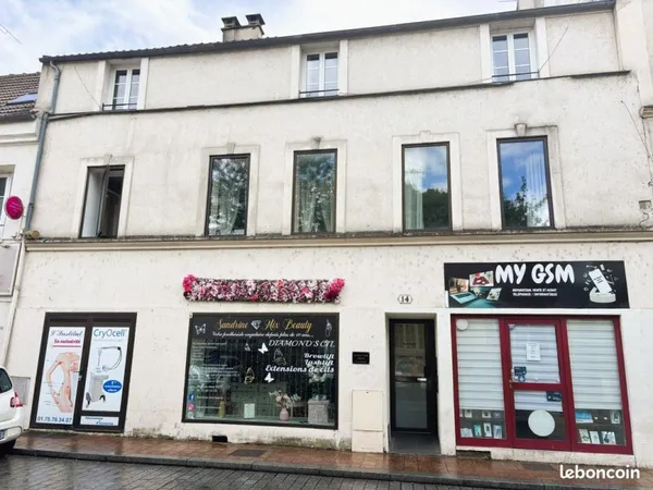 Immeuble de rapport 8 pièces 222 m²